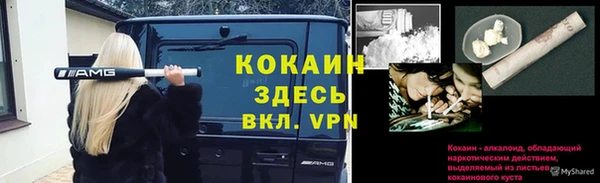 ПСИЛОЦИБИНОВЫЕ ГРИБЫ Балабаново