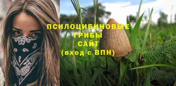 ПСИЛОЦИБИНОВЫЕ ГРИБЫ Балабаново