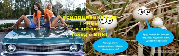 трава Баксан