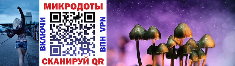 Псилоцибиновые грибы Cubensis  продажа наркотиков  Похвистнево 
